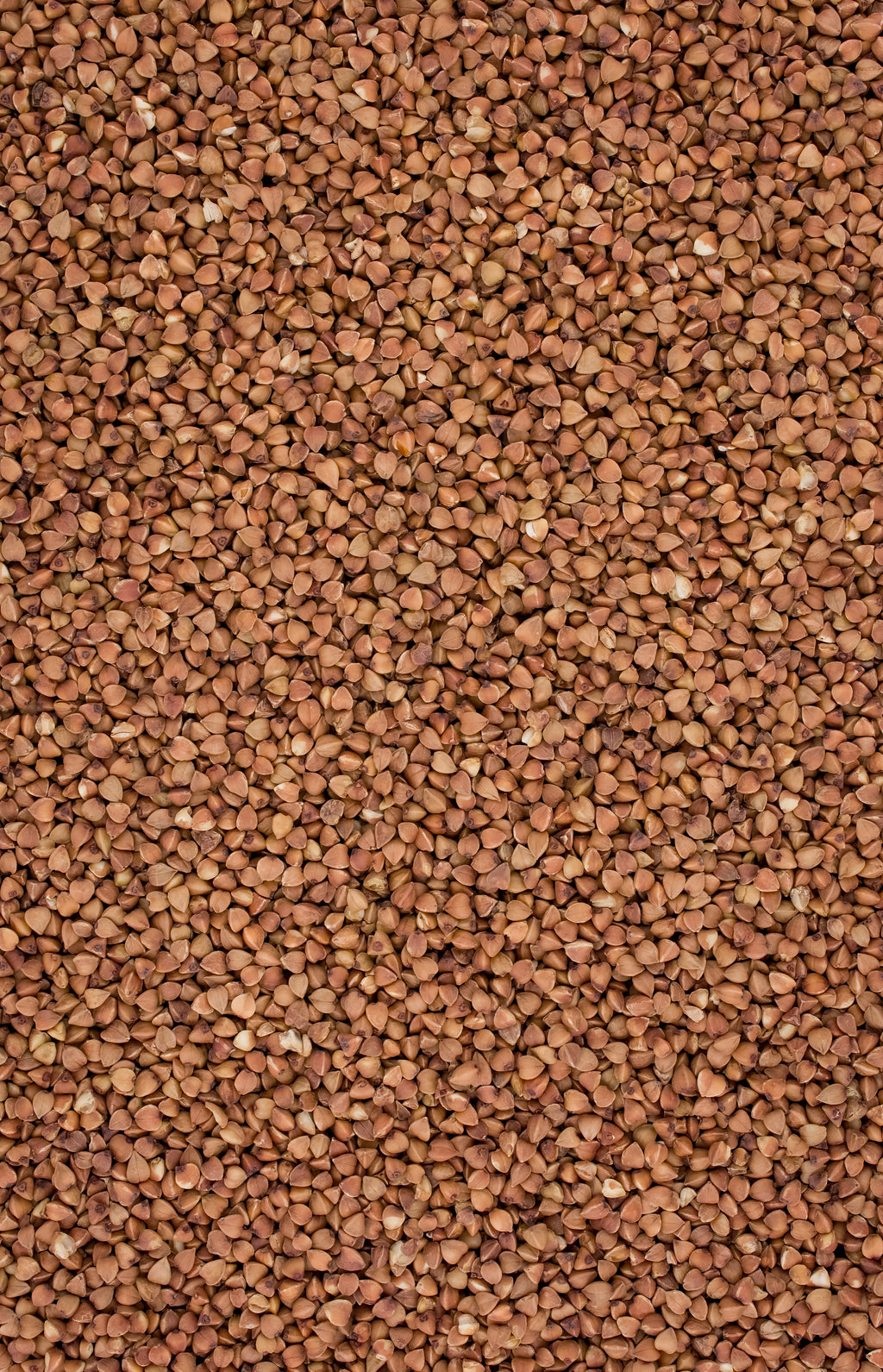 Roasted Buckwheat Groats 800g