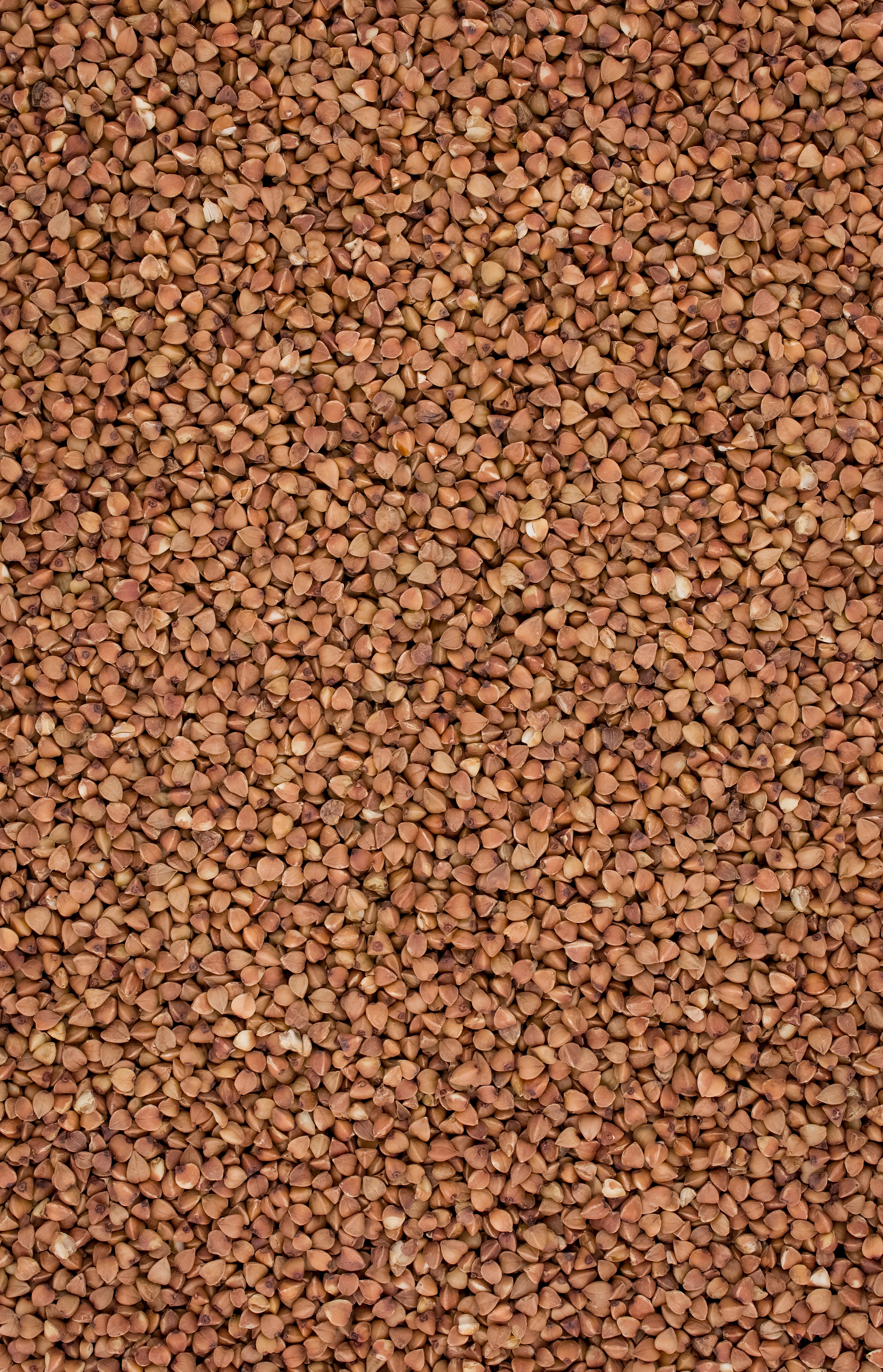 Roasted Buckwheat Groats 800g